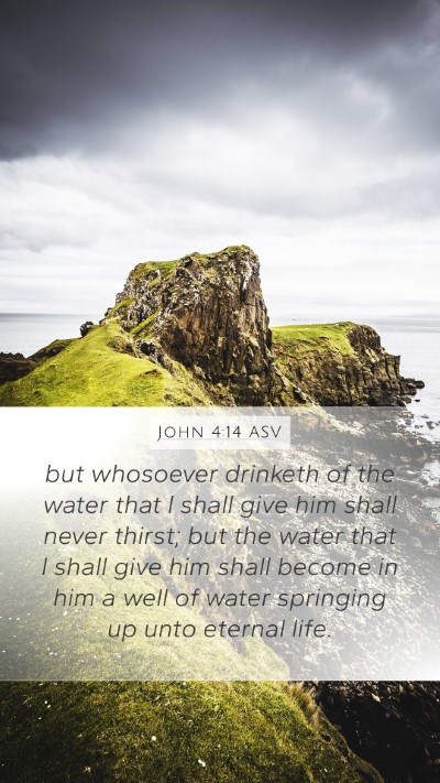 John 4:14 ASV Bible Verse Image