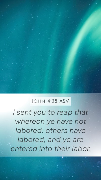 John 4:38 ASV Bible Verse Image