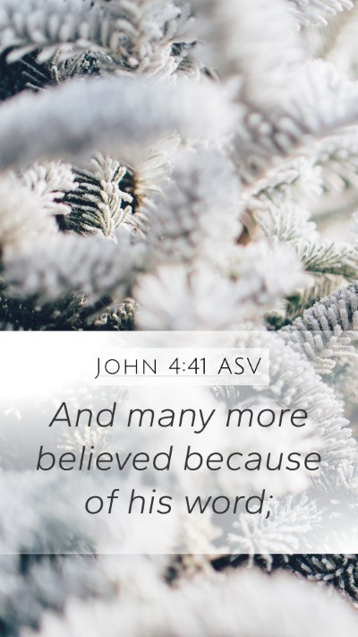 John 4:41 ASV Mobile Phone Wallpaper - And many more believed because of his - Mobile Bible Verse Wallpaper
