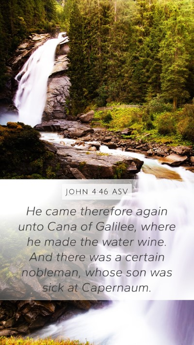 John 4:46 ASV Bible Verse Image