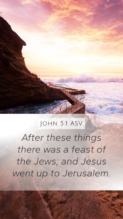 John 5:1 ASV Bible Verse Image