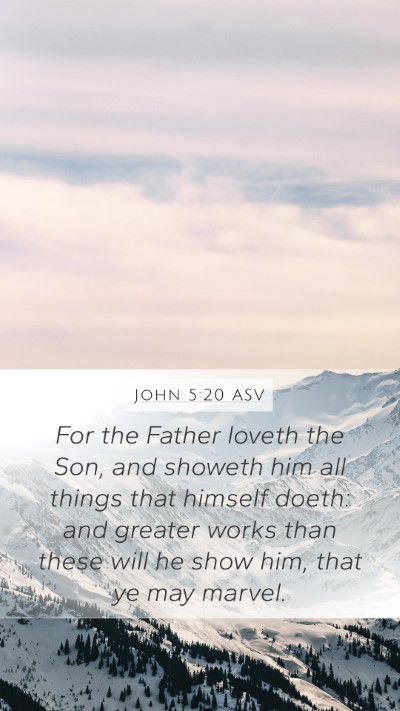 John 5:20 ASV Bible Verse Image