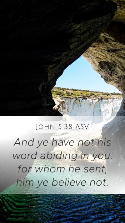 John 5:38 ASV Bible Verse Image