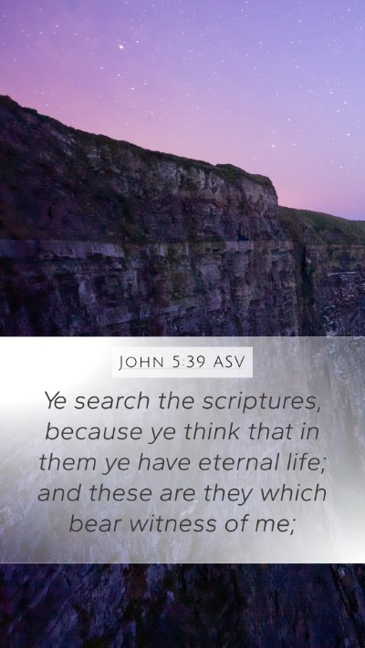 John 5:39 ASV Bible Verse Image