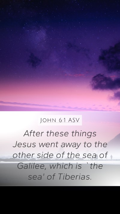 John 6:1 ASV Bible Verse Image