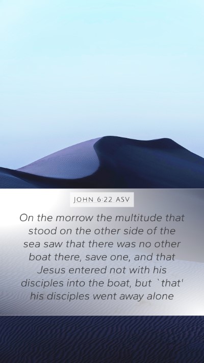 John 6:22 ASV Mobile Phone Wallpaper - On the morrow the multitude that stood on the - Mobile Bible Verse Wallpaper