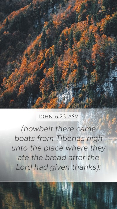 John 6:23 ASV Bible Verse Image