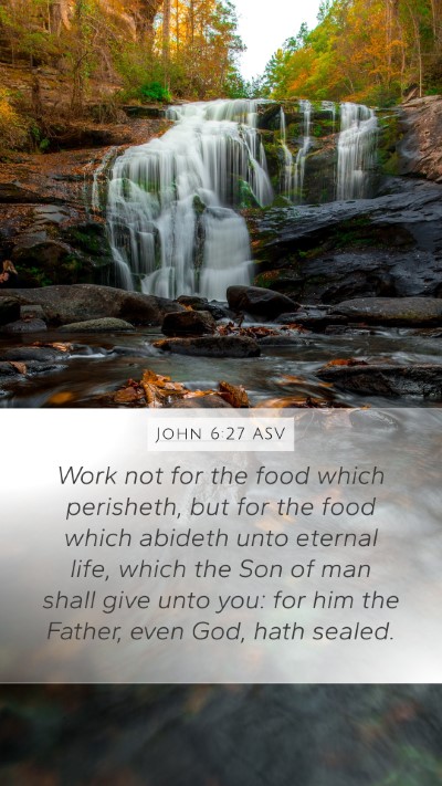 John 6:27 ASV Bible Verse Image