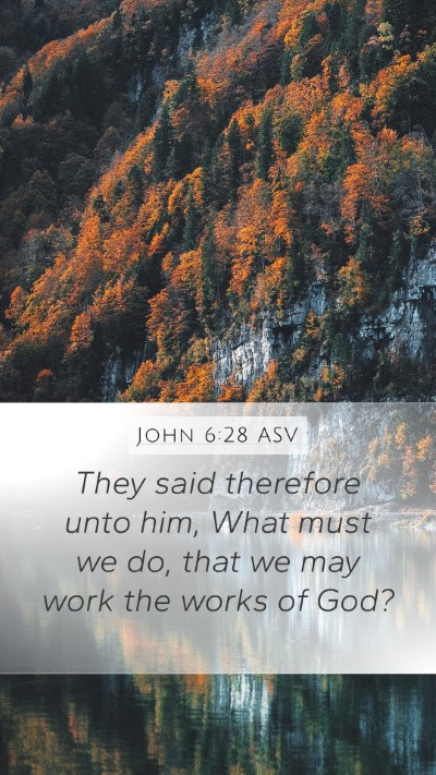 John 6:28 ASV Mobile Phone Wallpaper - They said therefore unto him, What must we do, - Mobile Bible Verse Wallpaper