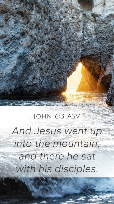 John 6:3 ASV Mobile Phone Wallpaper - And Jesus went up into the mountain, and there he - Mobile Bible Verse Wallpaper