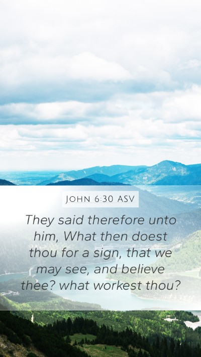 John 6:30 ASV Bible Verse Image