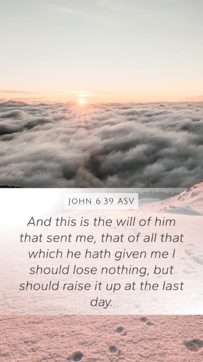 John 6:39 ASV Bible Verse Image