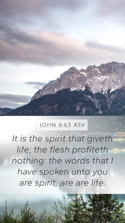 John 6:63 ASV Bible Verse Image
