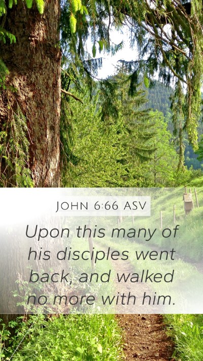 John 6:66 ASV Bible Verse Image