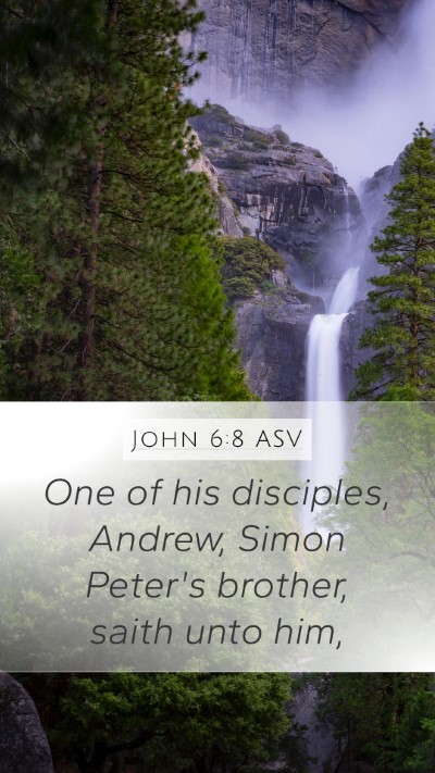 John 6:8 ASV Mobile Phone Wallpaper - One of his disciples, Andrew, Simon Peter's - Mobile Bible Verse Wallpaper