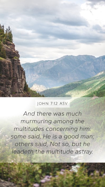 John 7:12 ASV Bible Verse Image