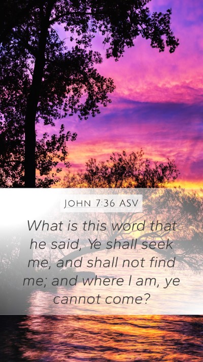 John 7:36 ASV Bible Verse Image