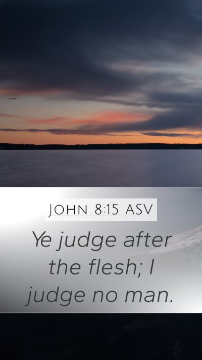 John 8:15 ASV Mobile Phone Wallpaper - Ye judge after the flesh; I judge no - Mobile Bible Verse Wallpaper