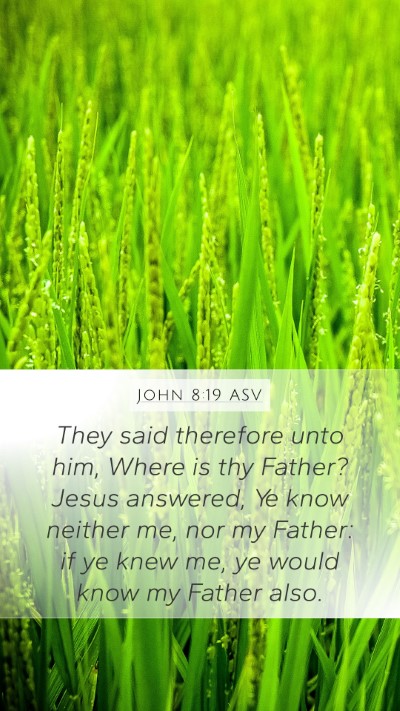 John 8:19 ASV Bible Verse Image