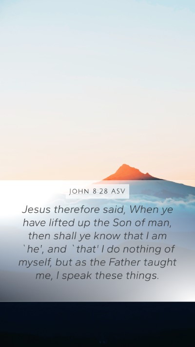 John 8:28 ASV Bible Verse Image
