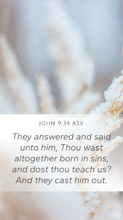John 9:34 ASV Bible Verse Image