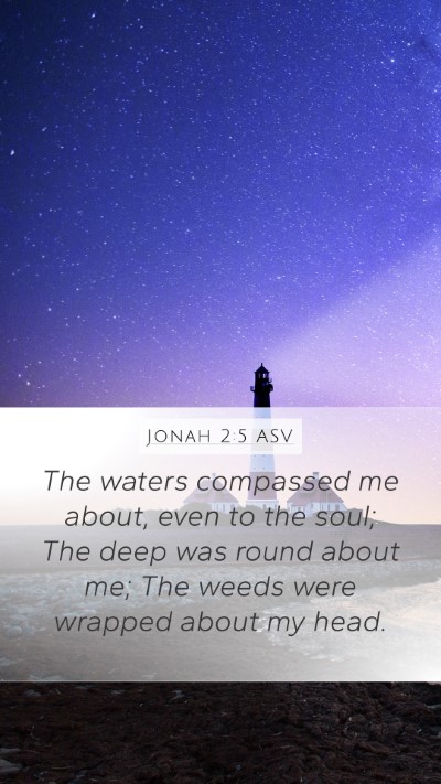 Jonah 2:5 ASV Bible Verse Image