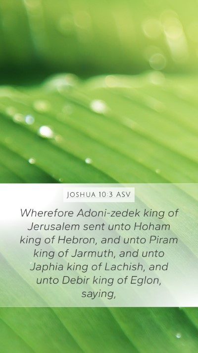 Joshua 10:3 ASV Bible Verse Image