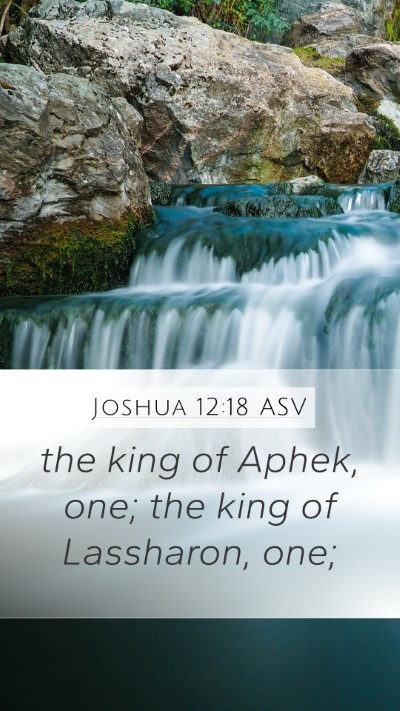 Joshua 12:18 ASV Mobile Phone Wallpaper - the king of Aphek, one; the king of Lassharon, - Mobile Bible Verse Wallpaper
