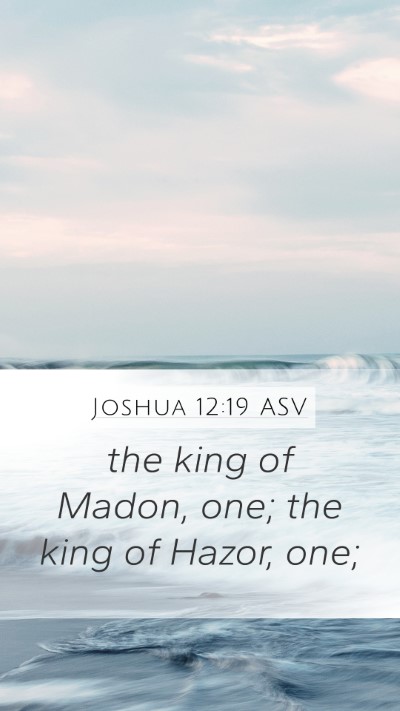 Joshua 12:19 ASV Mobile Phone Wallpaper - the king of Madon, one; the king of Hazor, - Mobile Bible Verse Wallpaper