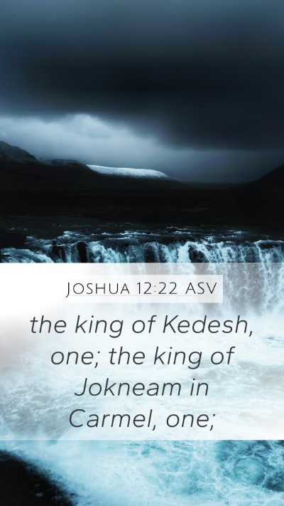 Joshua 12:22 ASV Mobile Phone Wallpaper - the king of Kedesh, one; the king of Jokneam in - Mobile Bible Verse Wallpaper