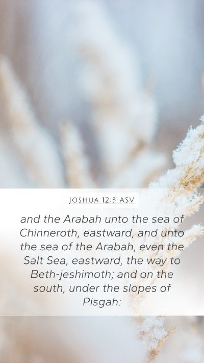 Joshua 12:3 ASV Bible Verse Image