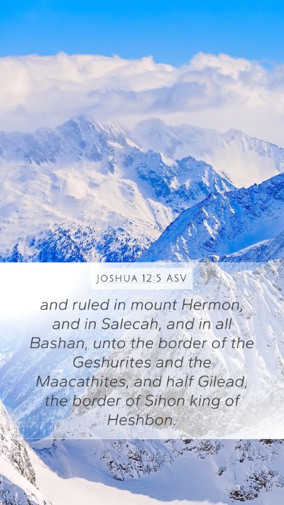 Joshua 12:5 ASV Bible Verse Image