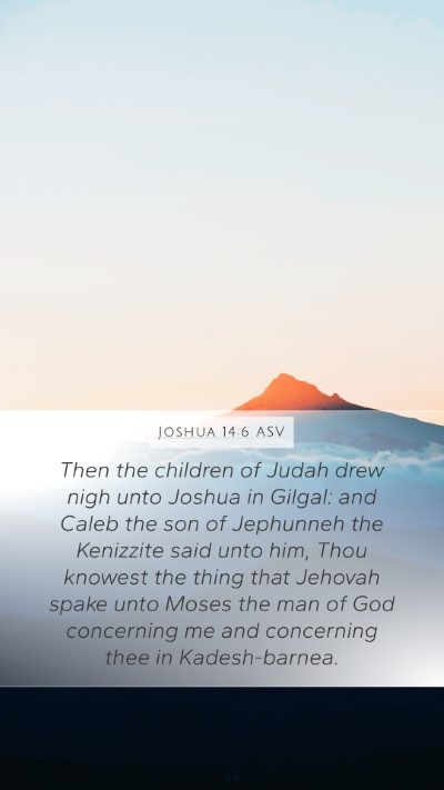 Joshua 14:6 ASV Bible Verse Image