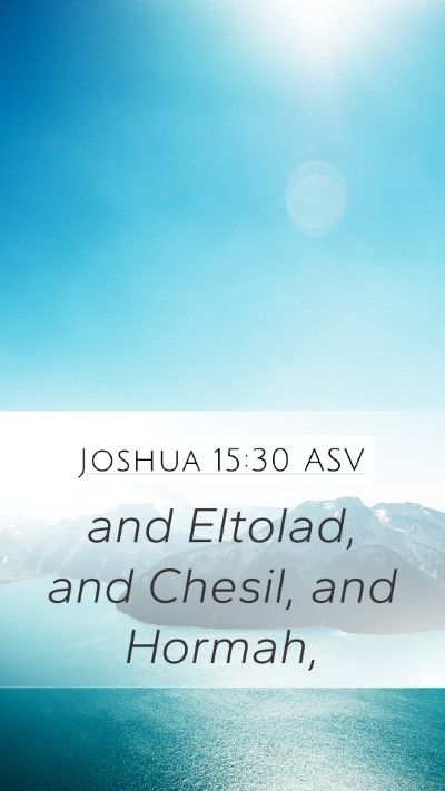 Joshua 15:30 ASV Bible Verse Image