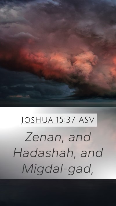 Joshua 15:37 ASV Bible Verse Image