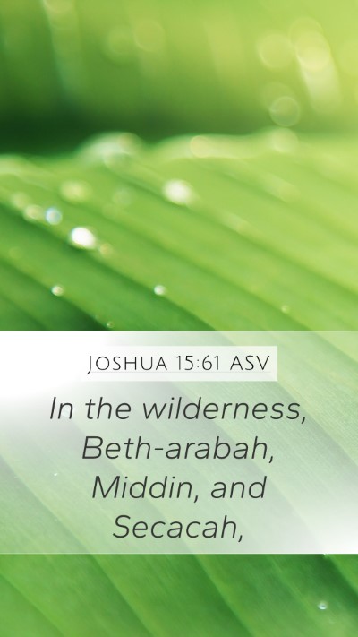 Joshua 15:61 ASV Bible Verse Image