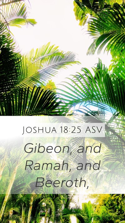 Joshua 18:25 ASV Bible Verse Image