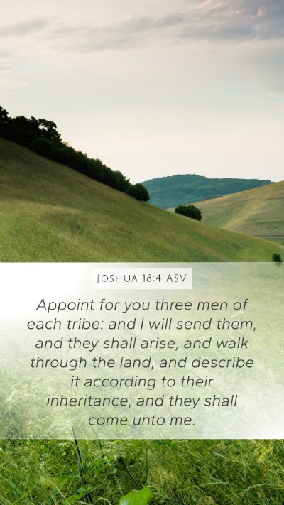Joshua 18:4 ASV Mobile Phone Wallpaper - Appoint for you three men of each tribe: and I - Mobile Bible Verse Wallpaper
