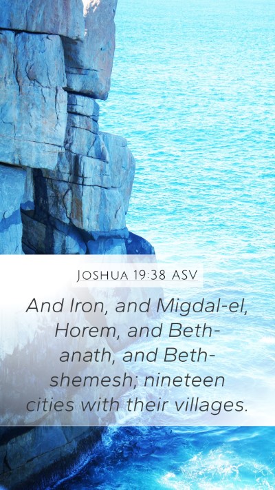 Joshua 19:38 ASV Bible Verse Image
