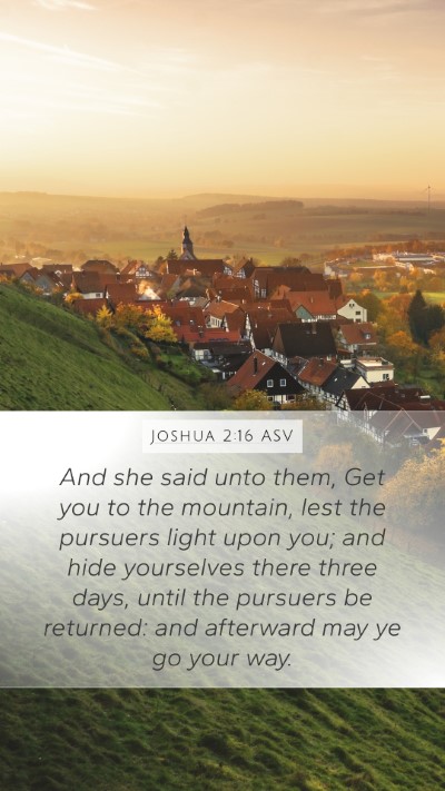 Joshua 2:16 ASV Mobile Phone Wallpaper - And she said unto them, Get you to the mountain, - Mobile Bible Verse Wallpaper