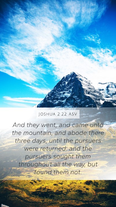 Joshua 2:22 ASV Bible Verse Image