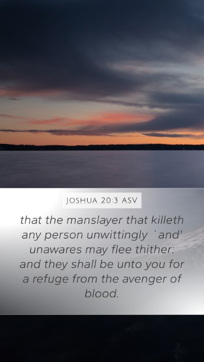 Joshua 20:3 ASV Bible Verse Image