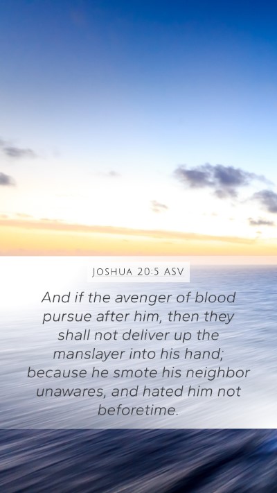Joshua 20:5 ASV Mobile Phone Wallpaper - And if the avenger of blood pursue after him, - Mobile Bible Verse Wallpaper