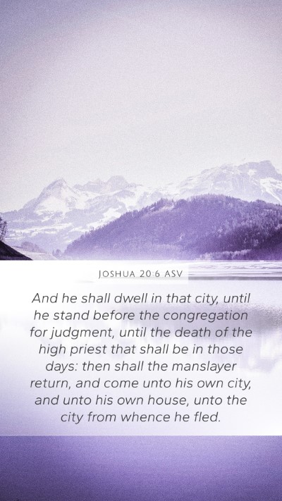 Joshua 20:6 ASV Bible Verse Image