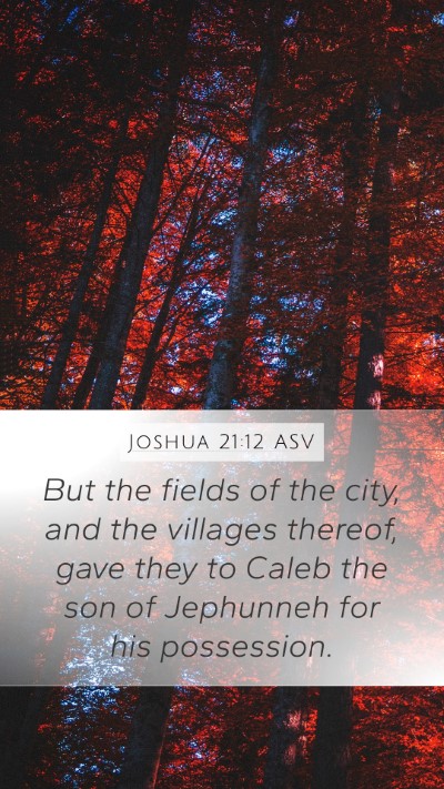 Joshua 21:12 ASV Mobile Phone Wallpaper - But the fields of the city, and the villages - Mobile Bible Verse Wallpaper