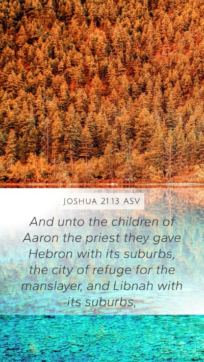 Joshua 21:13 ASV Bible Verse Image