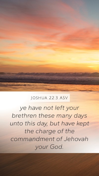 Joshua 22:3 ASV Bible Verse Image