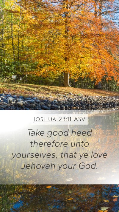 Joshua 23:11 ASV Mobile Phone Wallpaper - Take good heed therefore unto yourselves, that ye - Mobile Bible Verse Wallpaper