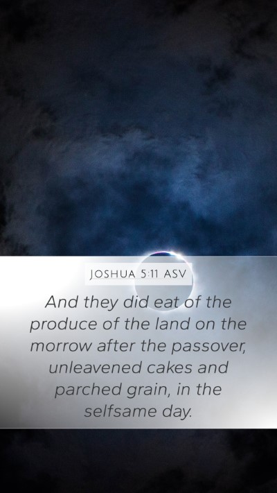 Joshua 5:11 ASV Mobile Phone Wallpaper - And they did eat of the produce of the land on - Mobile Bible Verse Wallpaper