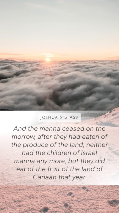Joshua 5:12 ASV Bible Verse Image